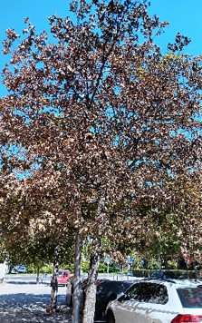 Forma humana sobre rayas amarillas y negras