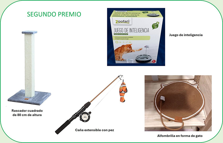 Rifa solidaria a favor de La Gatoteca: Premio 2