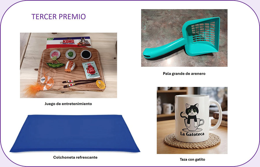 Rifa solidaria a favor de La Gatoteca: Premio 2